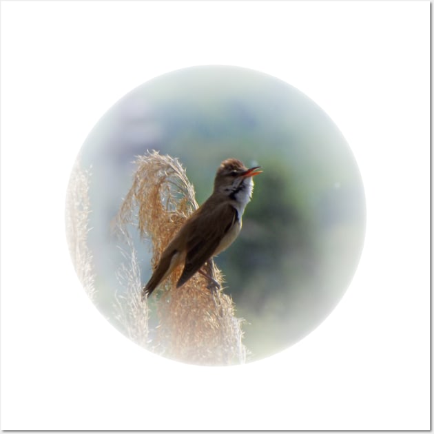 Great reed warbler Wall Art by Guardi